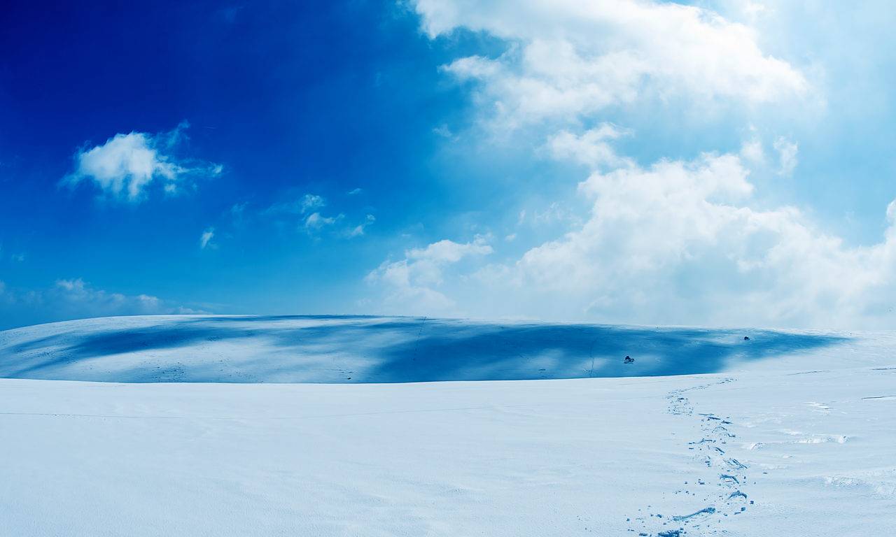 Crêtes des Monts du Forez en hiver
